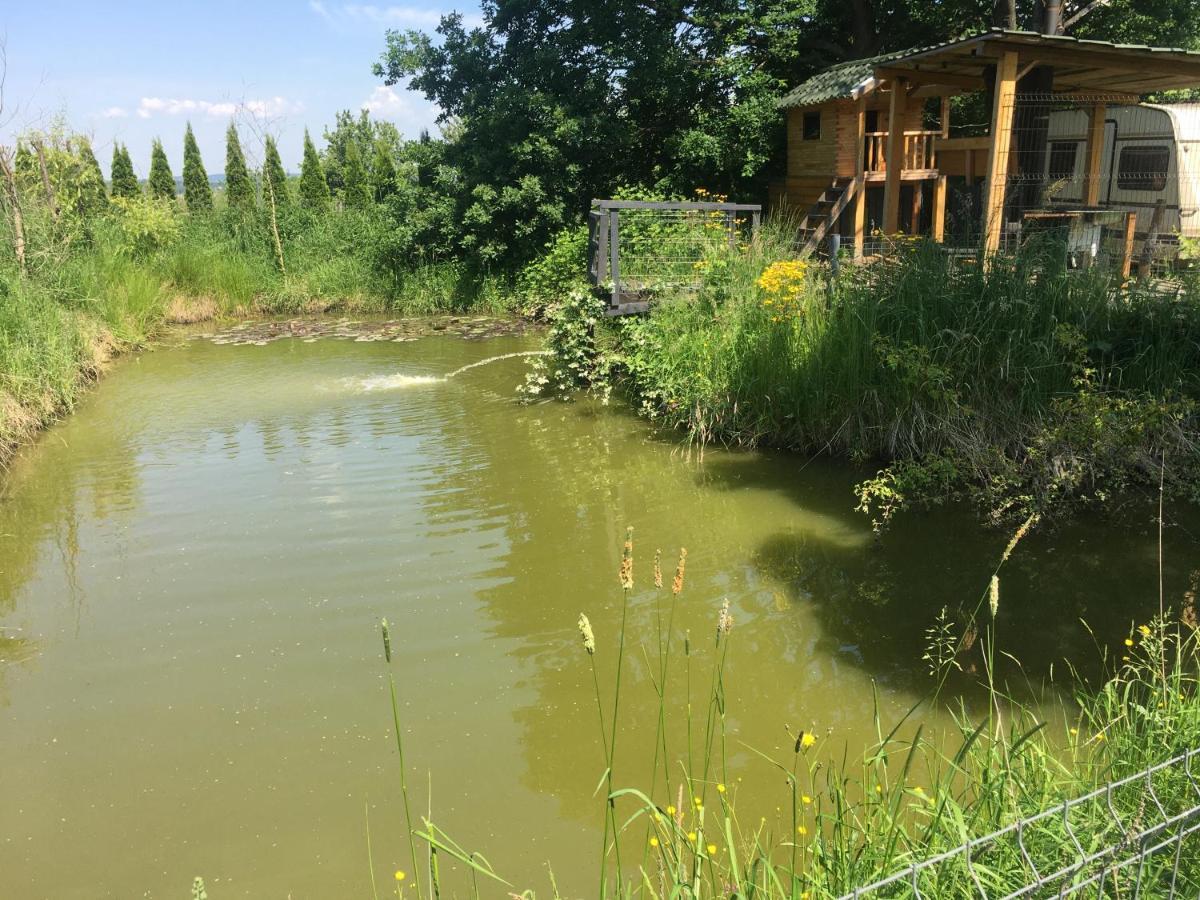 Wyspadrzewodomek Kamionna  Esterno foto